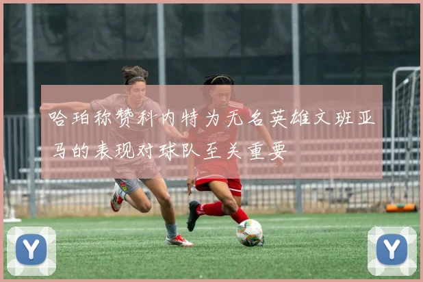 哈珀称赞科内特为无名英雄文班亚马的表现对球队至关重要