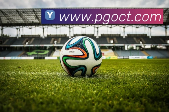 奖项4